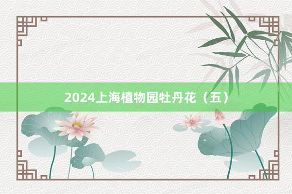 2024上海植物园牡丹花（五）