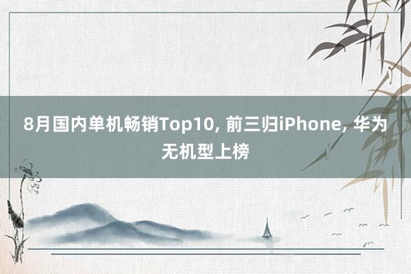 8月国内单机畅销Top10, 前三归iPhone, 华为无机型上榜