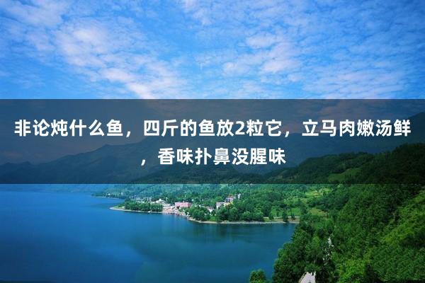 非论炖什么鱼，四斤的鱼放2粒它，立马肉嫩汤鲜，香味扑鼻没腥味