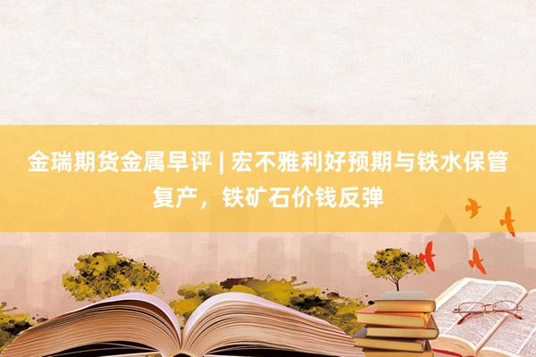 金瑞期货金属早评 | 宏不雅利好预期与铁水保管复产，铁矿石价钱反弹