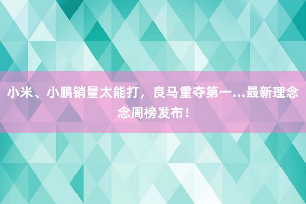 小米、小鹏销量太能打，良马重夺第一...最新理念念周榜发布！