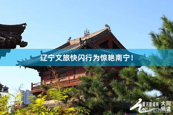 辽宁文旅快闪行为惊艳南宁！