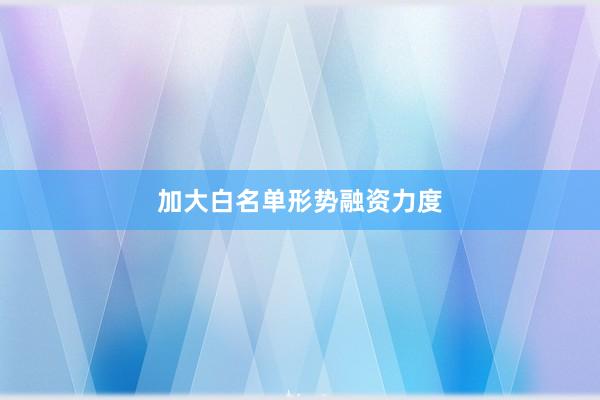 加大白名单形势融资力度